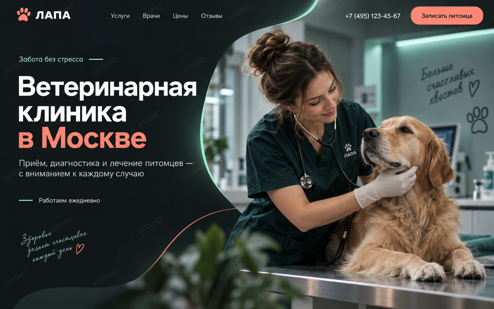 Ветеринарная клиника — версия для ПК, экран 1